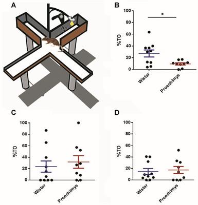 Long-term Potentiation Decay and Poor Long-lasting Memory Process in the Wild Rodents Proechimys from Brazil’s Amazon Rainforest
